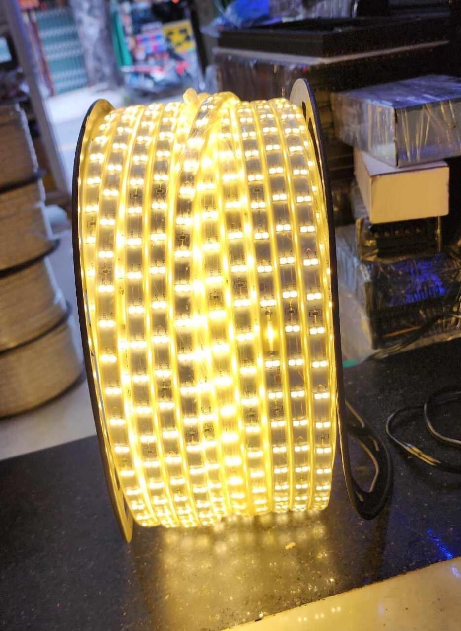 LED Dây 220V 2 hàng 100m